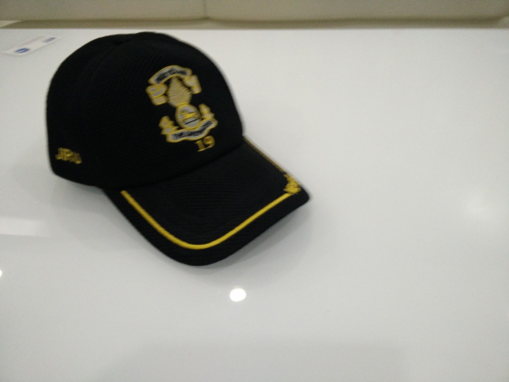 Black Military Mesh Cap with Grenadiers Crest & Mewar Embroidery - Image 2