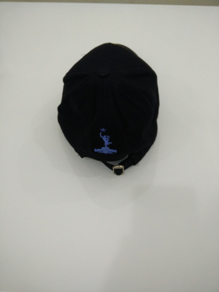 Premium Black UNMIS Embroidered Cap – Durable & Professional Outdoor Wear - Image 2